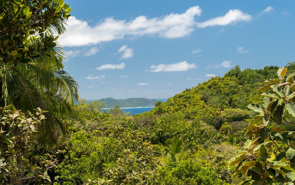 Voyager aux Seychelles : 3 attractions touristiques immanquables à voir