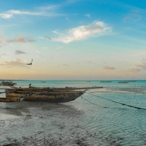 Partir à la découverte des superbes plages de la Tanzanie